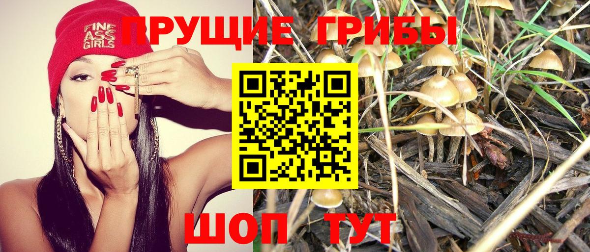 Галлюциногенные грибы прущие грибы Переславль-Залесский