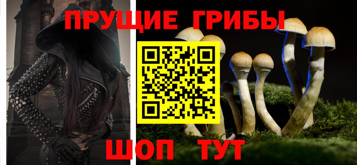 Псилоцибиновые грибы Cubensis  Галлюциногенные грибы Cubensis  Переславль-Залесский  Вход с VPN 